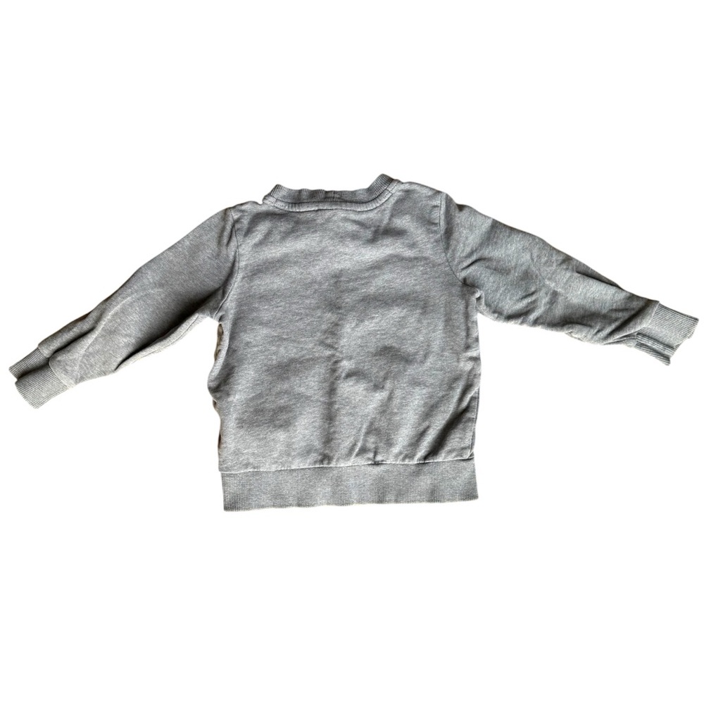 Hanna Andersson Grey Felt-Flowered Sweatshirt (4T/100cm) - Picture 3 of 3